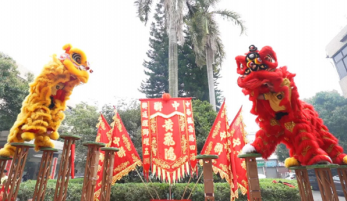 龙腾狮跃，共铸辉煌未来！